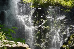 箱根　飛竜の滝　9
