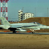 hornet(NF-304)