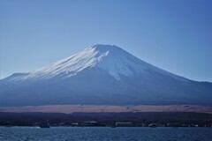 雪被る