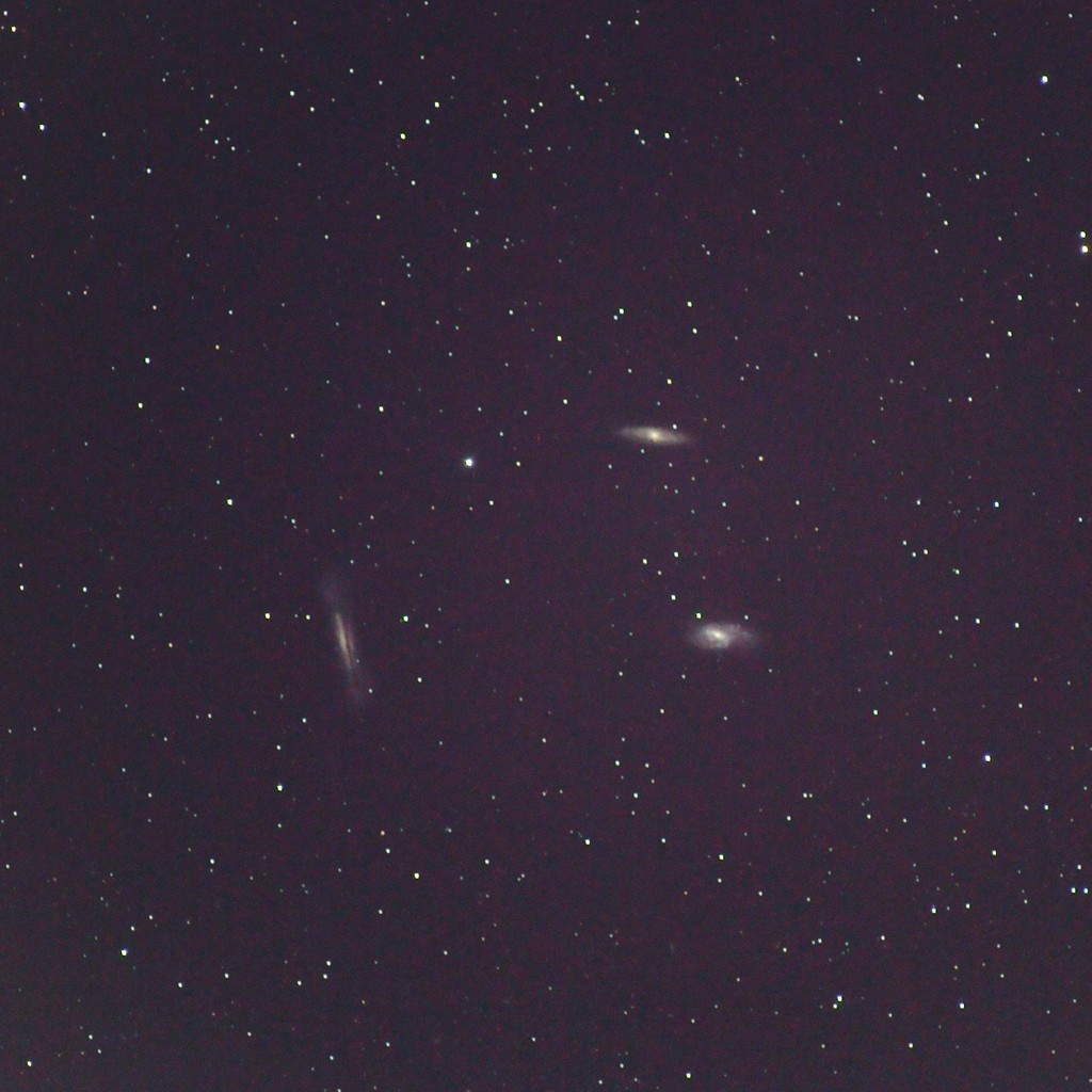 LeoTriplet (M65,M66,NGC3628)