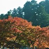 大雄山最乗寺　紅葉