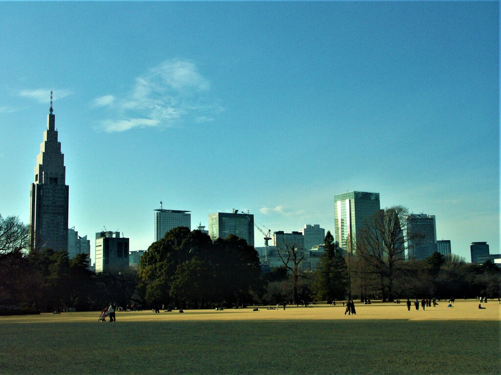 緑と空の狭間の高層ビル