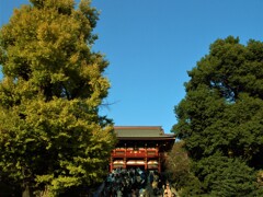 鶴岡八幡宮