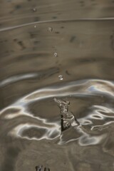 Water drops 1