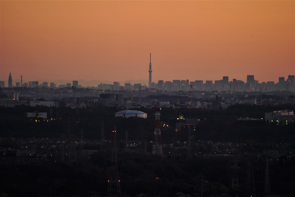 東京スカイツリー遠望