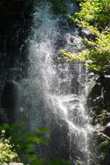 箱根　飛竜の滝　8