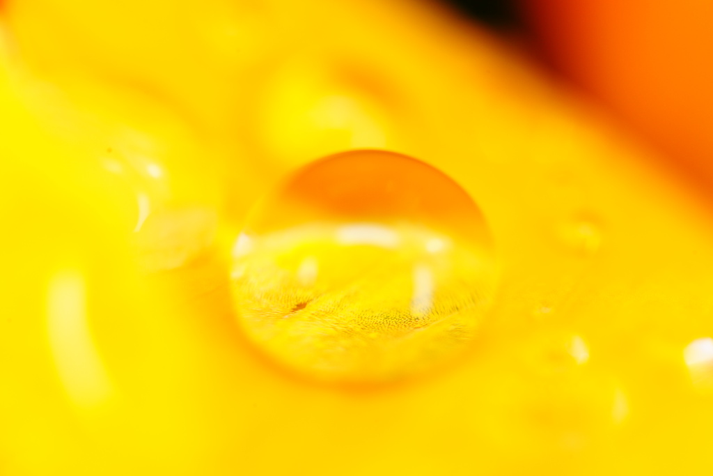 water drops 10