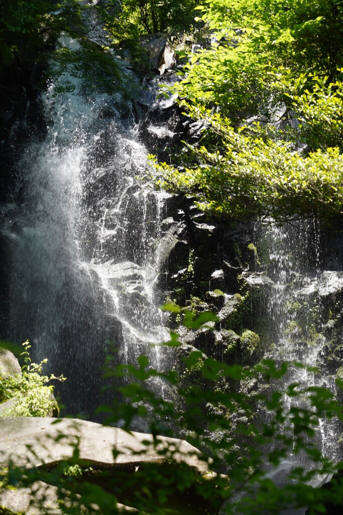 箱根　飛竜の滝　2