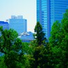 新宿御苑からの高層ビル群　②