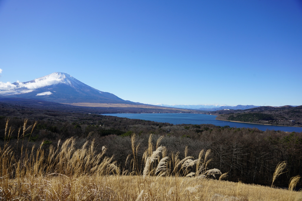 富士と山中湖