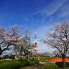 桜と電波塔　②