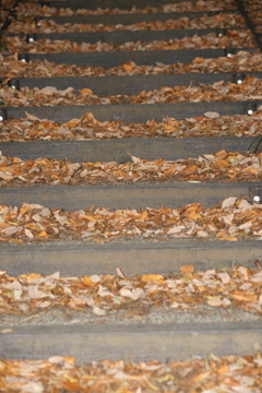 Boardwalk
