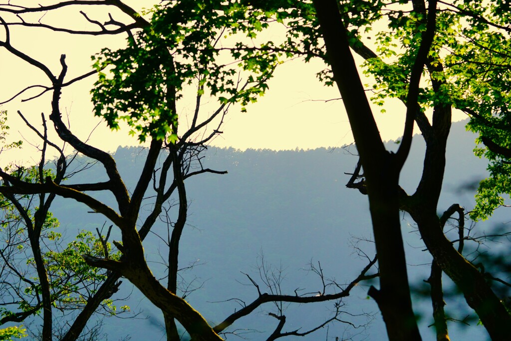 夕暮れの山稜