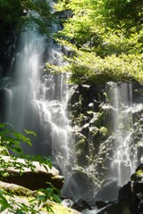 箱根　飛竜の滝　10