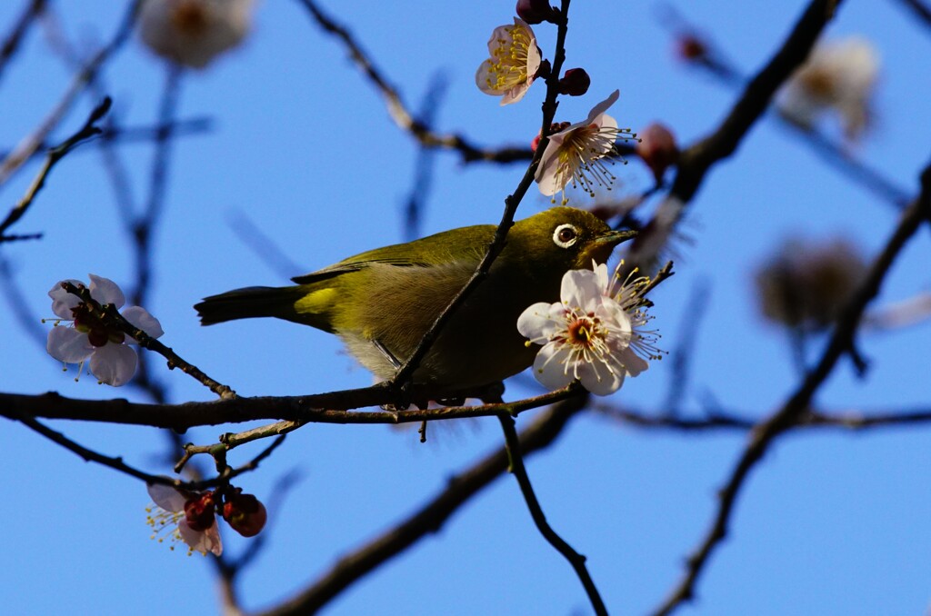 ふと空を見上げる