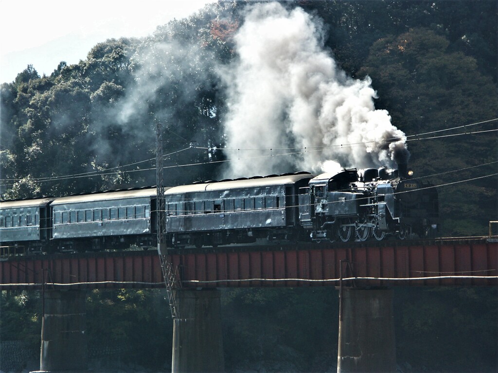 大井川鉄道　C11