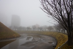 霧の城址公園