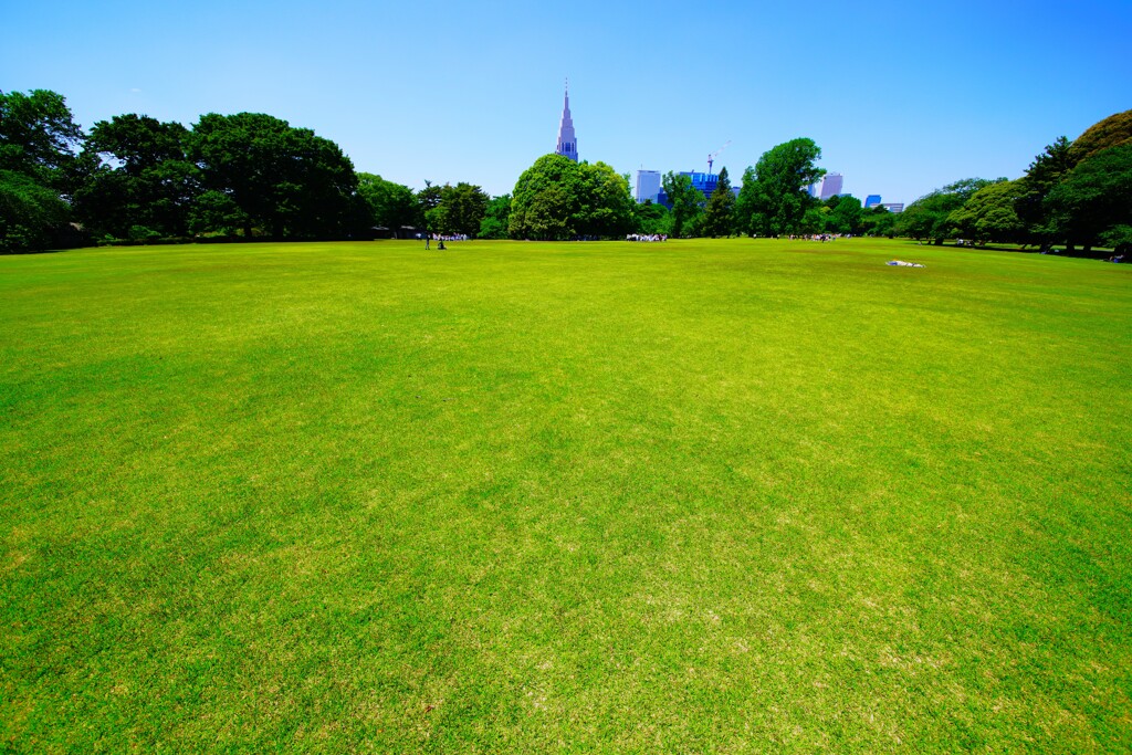 超広角12mmのせかい　⑤