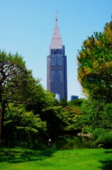 緑の中の高層ビル