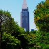 緑の中の高層ビル