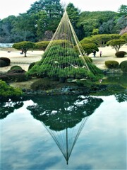 台湾閣の池