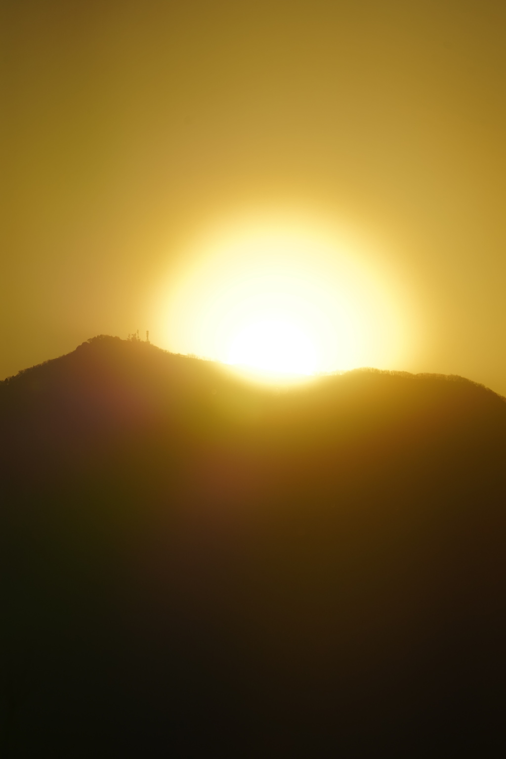 ダイアモンド大山は昨日だった模様・・・