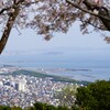 桜と江の島