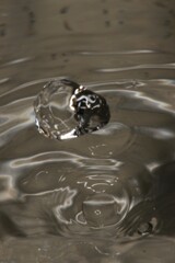 Water drops 3