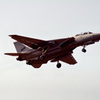 tomcat(NF-211)