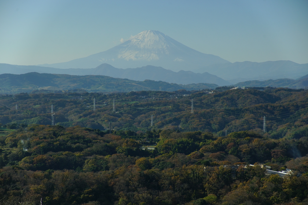 湘南平からの富士山