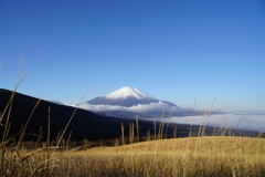 雲海を身に纏う富士