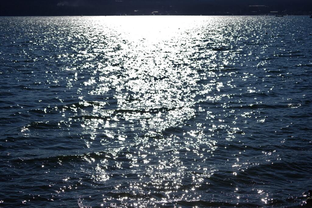 湖面の輝き
