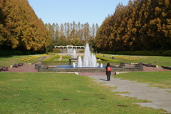 庭園