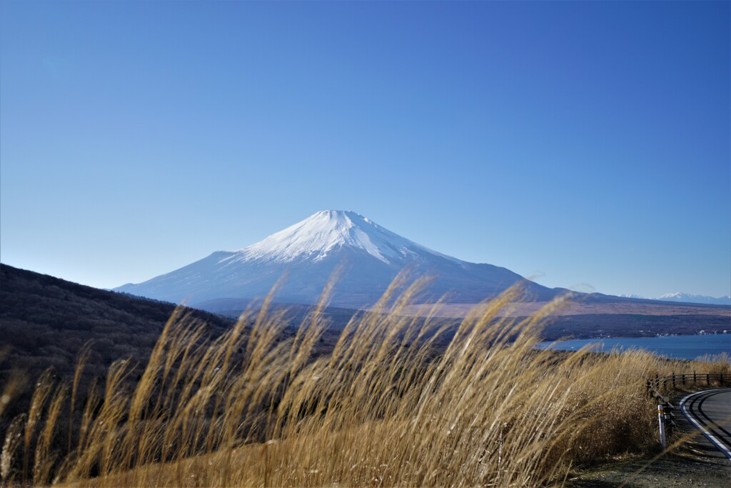 晩秋の富士山