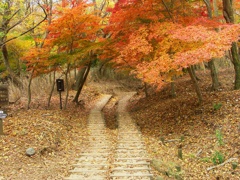 登山道