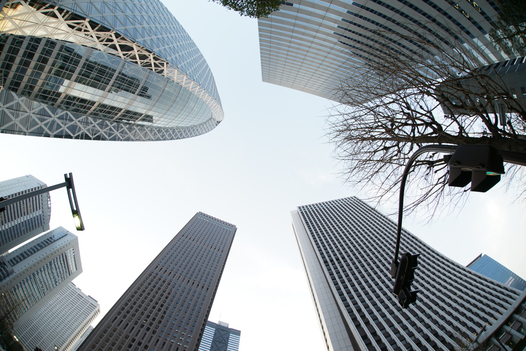 skyscrapers(fish-eye)