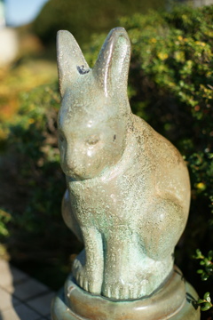 ウサギ