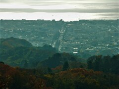 鶴岡八幡宮参道と由比ヶ浜海岸遠望