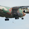 着陸体勢のC-1と鳥たち
