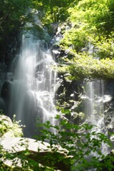 箱根　飛竜の滝　3
