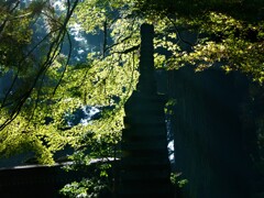 大雄山最乗寺　紅葉