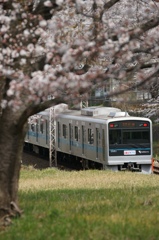 桜の木の向こう側