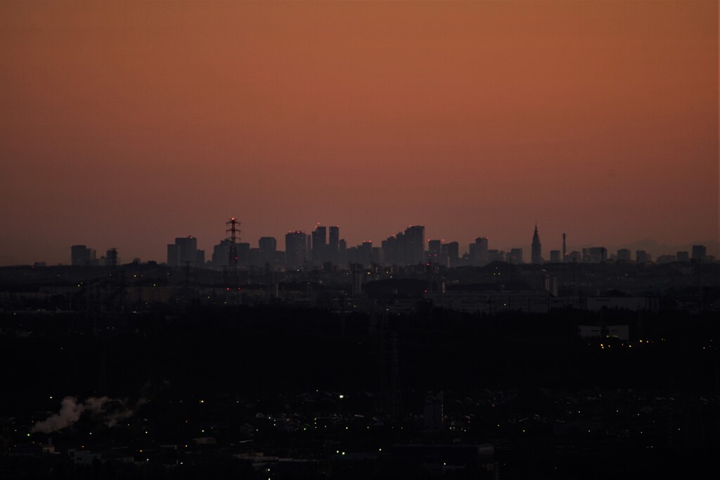 新宿副都心遠望