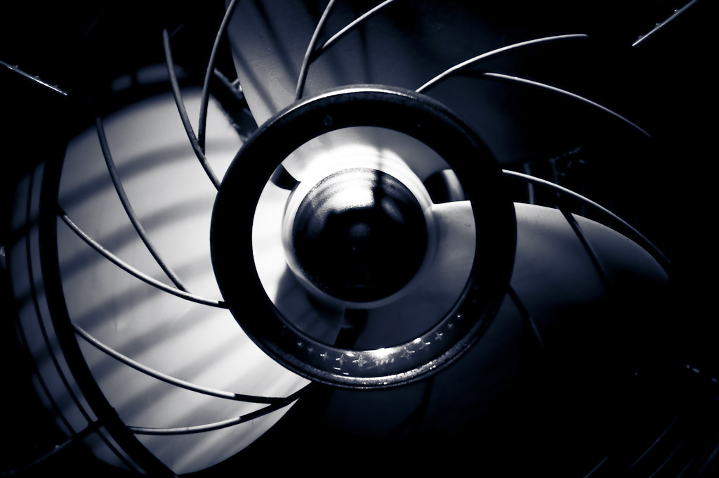 Fan