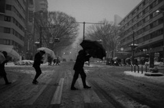 これは東京：2014年2月8日の雪の原宿