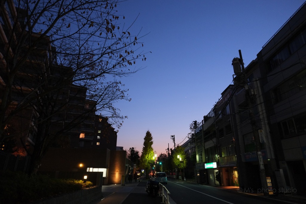 なんか冬だなぁ