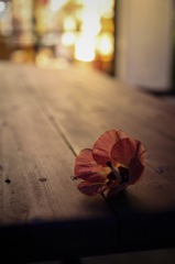 花一輪