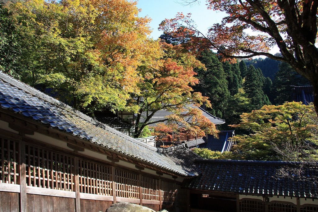 ちょっと紅葉（永平寺）