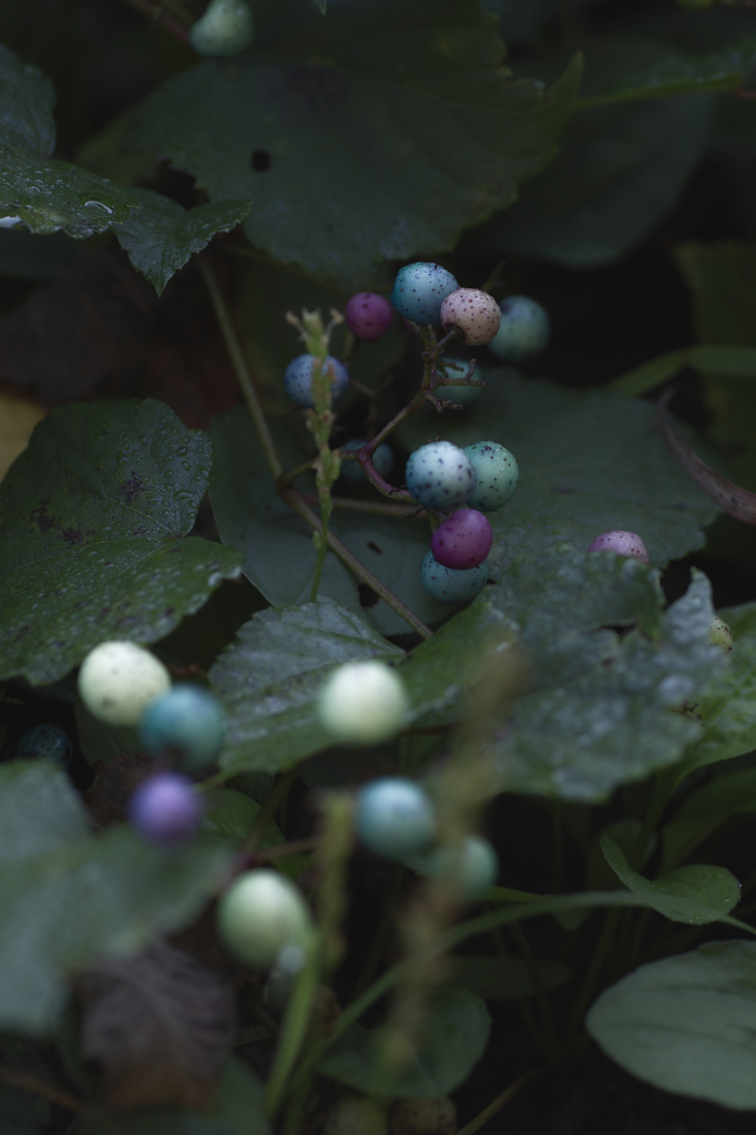 Colourful drops