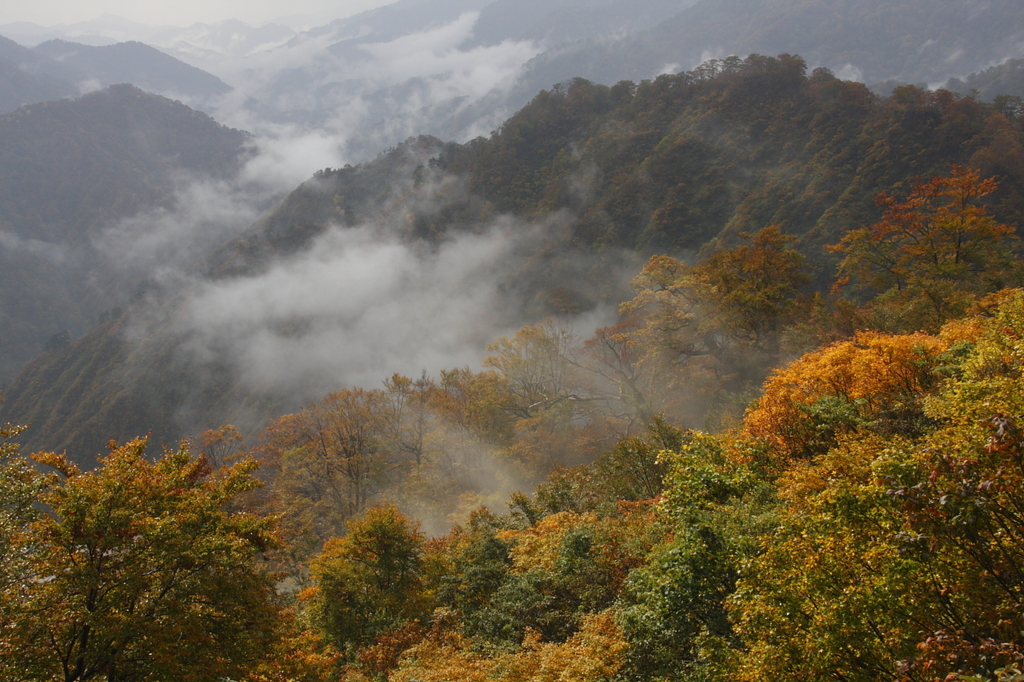 紅葉と山並